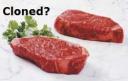 cloned_meat3[1].jpg